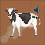 Cow Sounds