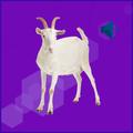 Goat Sounds