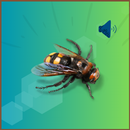 Fly Sound Prank APK
