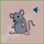 Mouse and Rat sounds