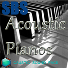 Acoustic Pianos Caustic Pack icône