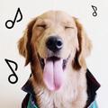 Dogify: Sounds Dogs Love
