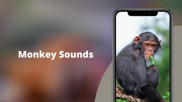 Monkey Sounds bài đăng