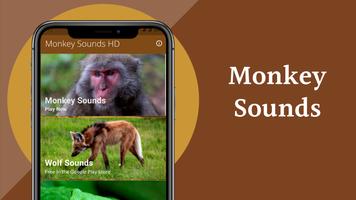 Monkey Sounds ảnh chụp màn hình 1