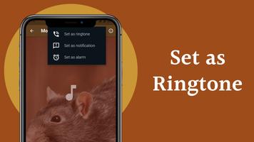 Mouse and Rat sounds Screenshot 3