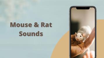 Mouse and Rat sounds Plakat