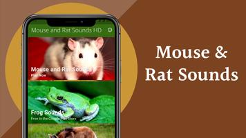 Mouse and Rat sounds 스크린샷 1