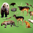 Animal Sounds APK
