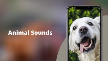 Animal Sounds Plakat