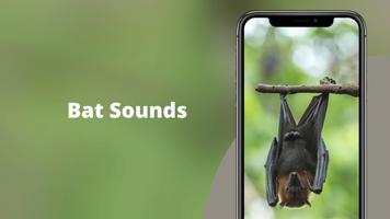 Bat sounds - Bat Noises Screec Plakat