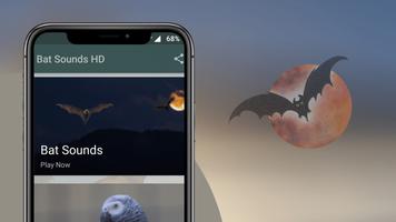 Bat sounds - Bat Noises Screec Screenshot 1