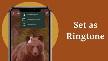 Bear Sounds imagem de tela 3