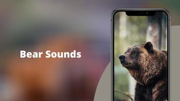 Bear Sounds Cartaz