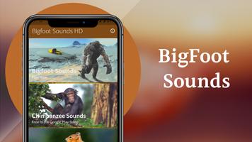 Bigfoot Sounds Plakat