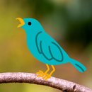 Bird Sounds - Nature Bird Call APK