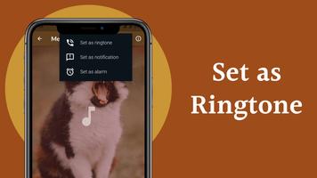 Cat Sounds - Meow Sound ภาพหน้าจอ 3