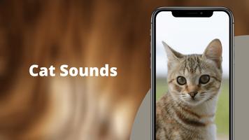 Cat Sounds - Meow Sound Plakat