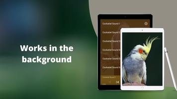 Cockatiel Sounds Screenshot 2