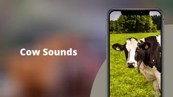 Cow Sounds Plakat