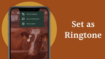 Cow Sounds Screenshot 3