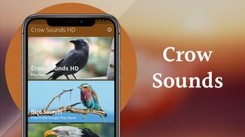 Crow Sounds -Calls & Ringtones ảnh chụp màn hình 1