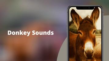 Donkey Sounds پوسٹر