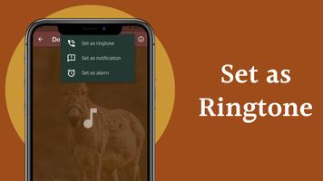 Donkey Sounds اسکرین شاٹ 3