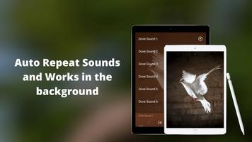 Dove Sounds screenshot 2