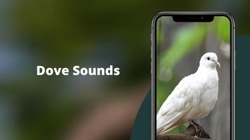 Dove Sounds screenshot 1
