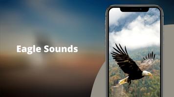 Eagle Sounds Plakat