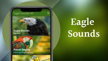 Eagle Sounds Screenshot 1