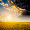 Farm Sounds Ringtone APK