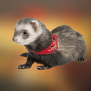 Ferret Sounds APK