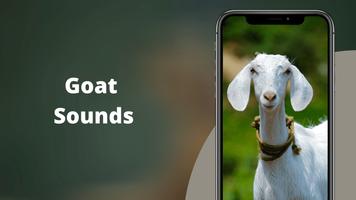 Goat Sounds poster