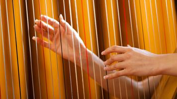 Harp Sounds ảnh chụp màn hình 2