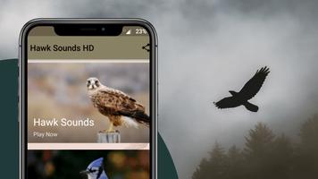 Hawk Sounds Plakat