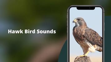Hawk Sounds Screenshot 1