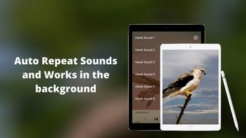 Hawk Sounds Screenshot 2