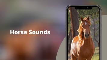Horse Sounds পোস্টার
