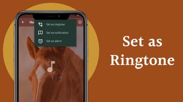 Horse Sounds স্ক্রিনশট 3
