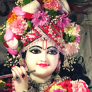 Krishna Aarti & Chalisa APK