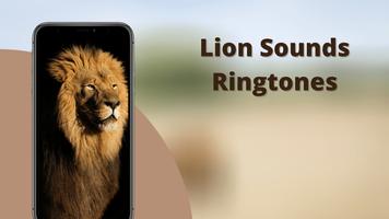 Lion Sounds 포스터