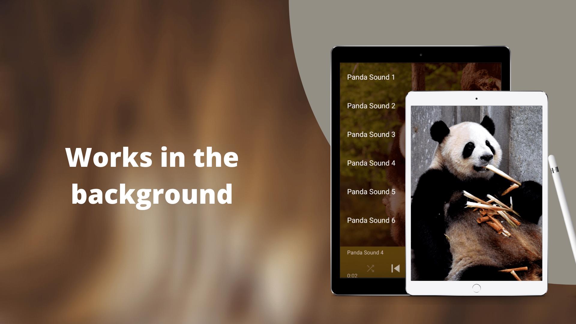 Panda Sounds Giant Panda Calls For Android Apk Download