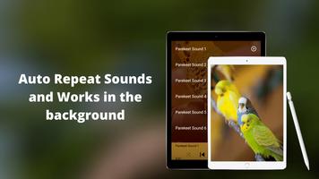 Parakeet Sounds Screenshot 2