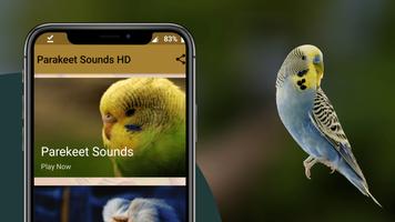 Parakeet Sounds Screenshot 1