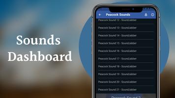 Peacock Sounds اسکرین شاٹ 1