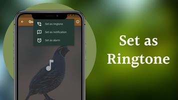 Quail Sounds & Calls Screenshot 3