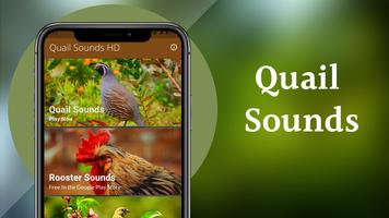 Quail Sounds & Calls Screenshot 1