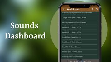 Quail Sounds & Calls Screenshot 2