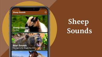 Sheep Sounds screenshot 1